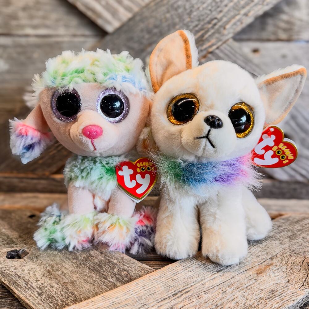 Pair of 2021 TY Beanie Boo Dogs, Chewey the Chihuahua & Rainbow the Poodle, 6"